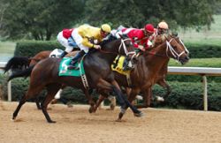 Horse Racing, Derby, Finish Line